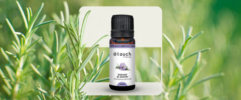 Benefícios do óleo essencial de alecrim