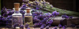 Óleo Essencial de Lavanda