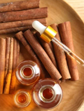 Para que serve o Óleo Absoluto de Cacau