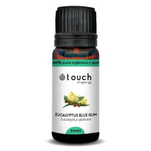 Eucalipto Globulus - Óleo Essencial 11ml (<i>Eucalyptus globulus</i>)