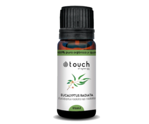 Eucalipto radiata - Óleo Essencial 11ml (<i>Eucalyptus radiata ssp.radiata</i>)