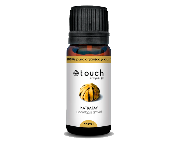 OE-KATRAFAY.600x500.png OE-KATRAFAY.600x500.png