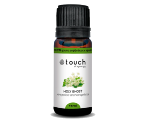 Flor de Angélica - Óleo Essencial 11ml (<i>Angelica archangelica</i>)