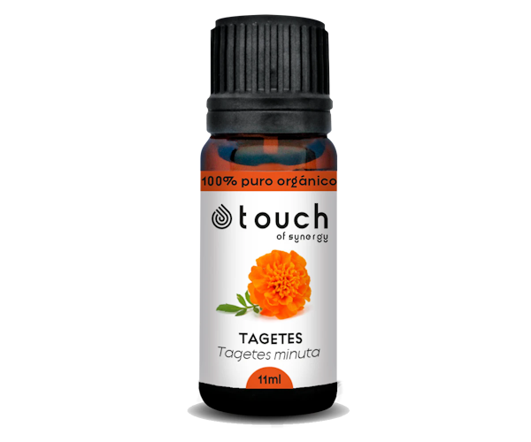 Tagetes.11ml-600x500-1.png Tagetes.11ml-600x500-1.png