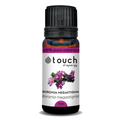 Absoluto_de_Boronia_600x500