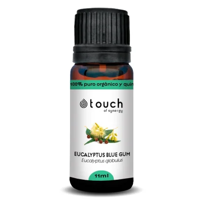 EUCALIPTO globulus COMUN_1024x1024@2x