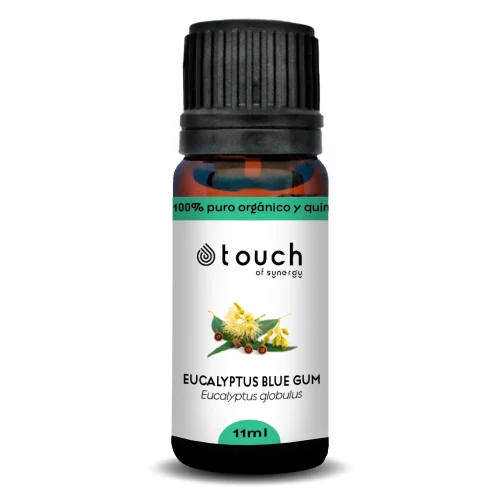 EUCALIPTO globulus COMUN_1024x1024@2x
