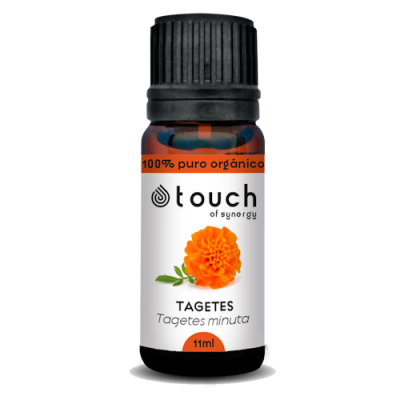 Tagetes.11ml-600x500