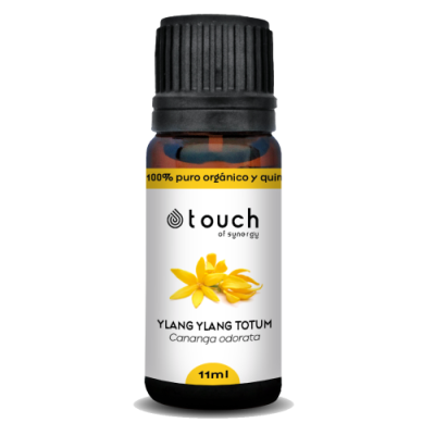 YLANGYLANG_600x500.png