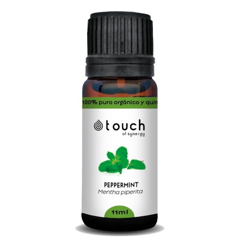 hortela-pimenta-oleos-essenciais-touch-of-synergy-600x500-1.jpg